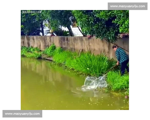 大爷钓起金黄大鱼，围观者哇声一片：这鱼值两万？