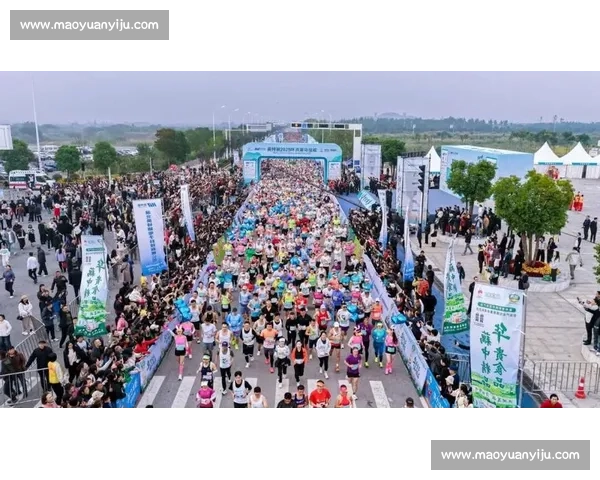 首届环洪湖马拉松开跑：7000 选手绘就生态画卷