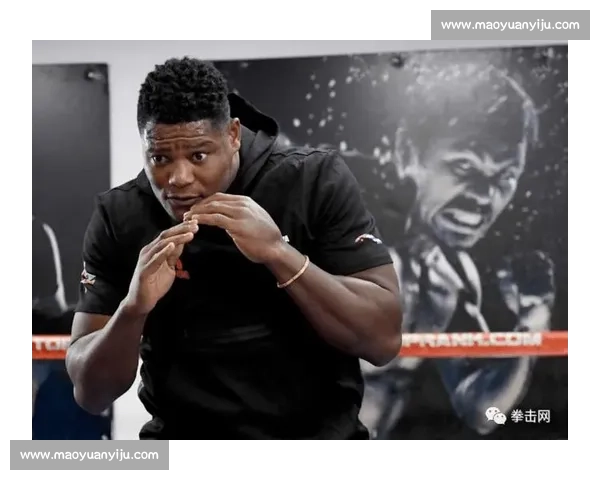 路易斯奥提兹对阵詹宁斯重炮与耐力的巅峰较量解析重量级赛前看点