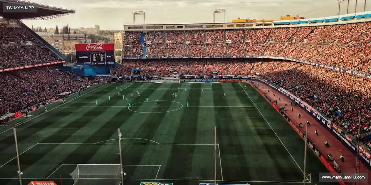 <strong>yy易游</strong>运动不是选择，而是一种让生活发光的态度！🌟